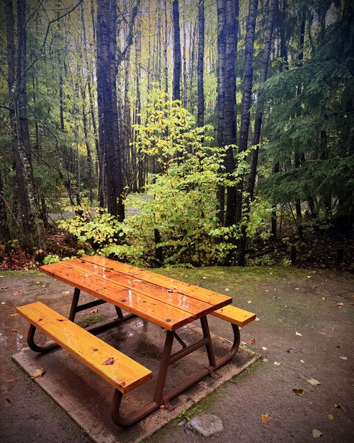 Rain-glossed Picnic Table, Vetter Creek