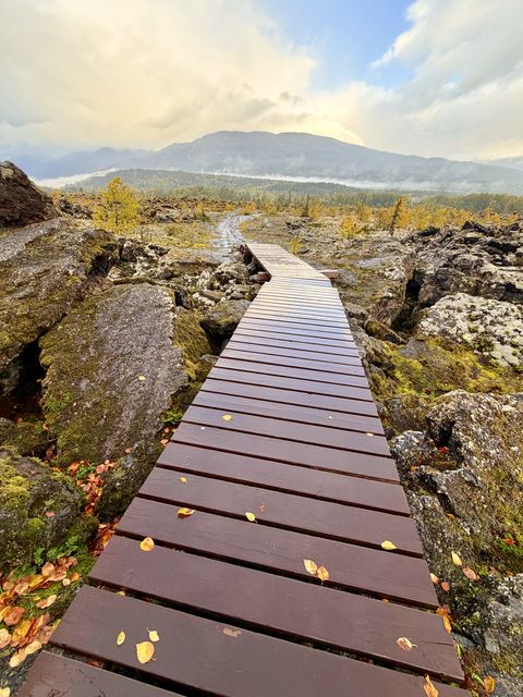 Boardwalk at Tree Cast Lava Field