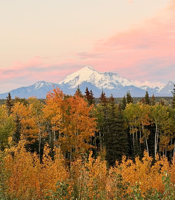 Copper Center: Aspens and Snowy Peak