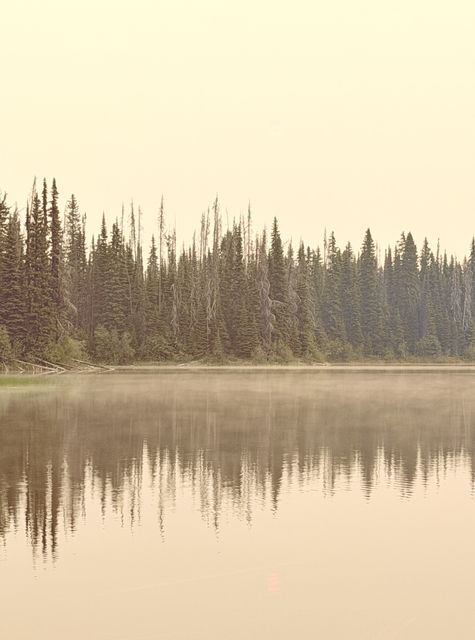 August mist over Lower North Thompson lake