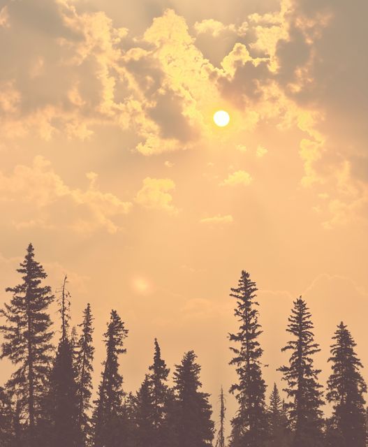Smoky Sunset over Lone Butte Pines