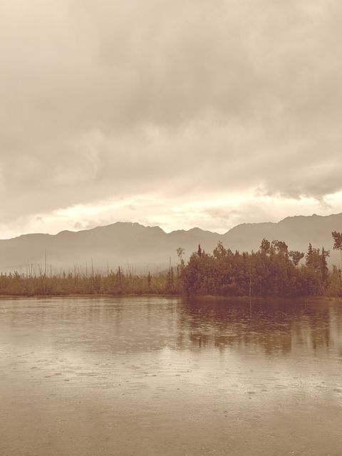 Misty Rain on River, Unorganized Borough Alaska