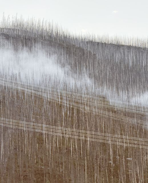 Smoldering slope above Moberly Lake