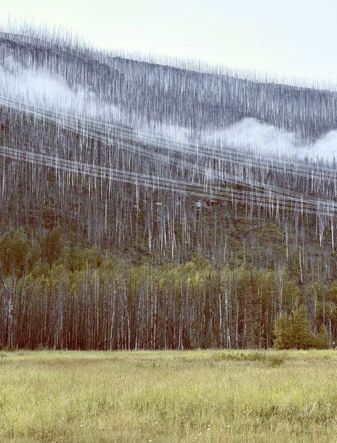 Fog over charred slope Sukunka Valley