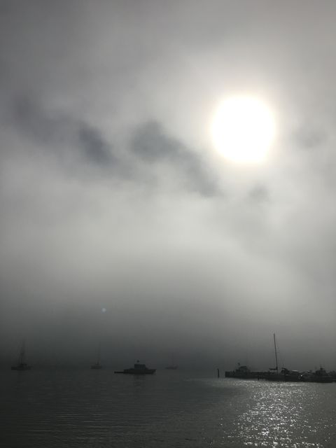 Sun Breaking Through Fog at Bodega Bay