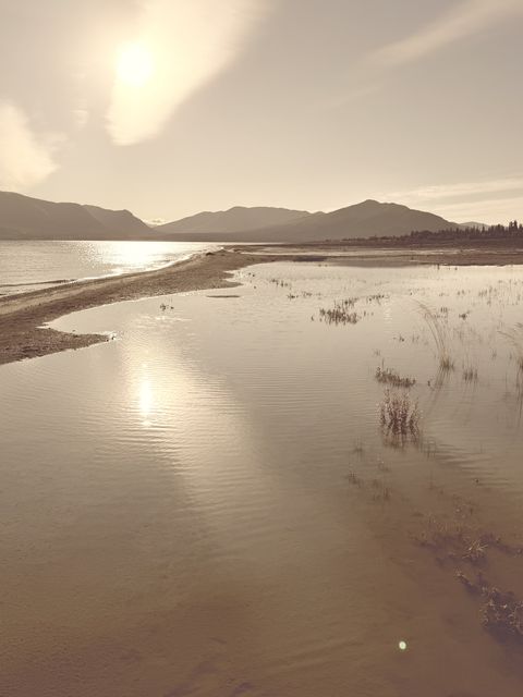 August Evening at Yukon Wildcamp