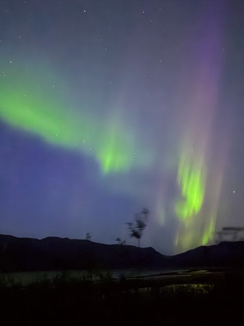Aurora over Destruction Bay
