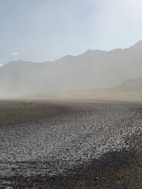 Destruction Bay mist over mudflats