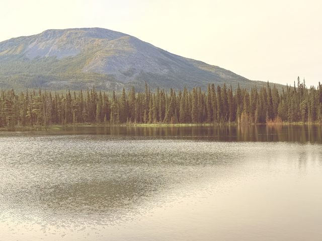 Rancheria Lake in August Light, Yukon