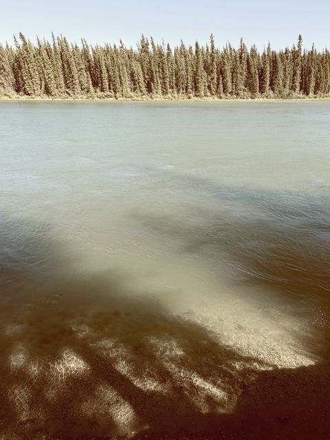 Dappled River Shadows at Mendenhall Landing
