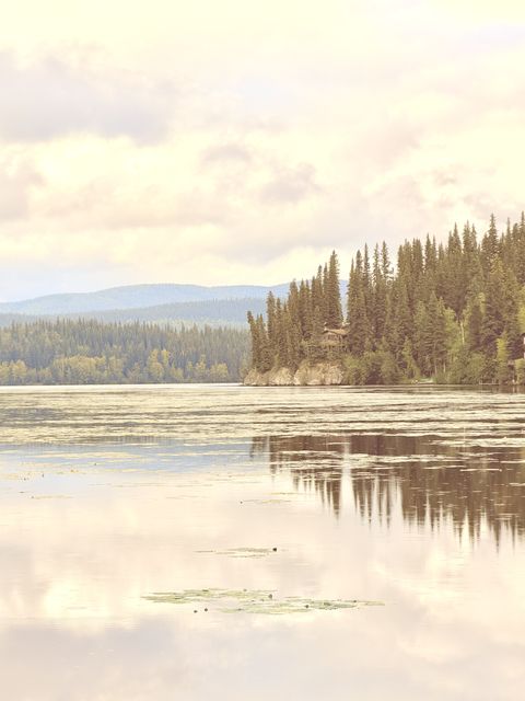 August Reflections in Fairbanks North Star Borough